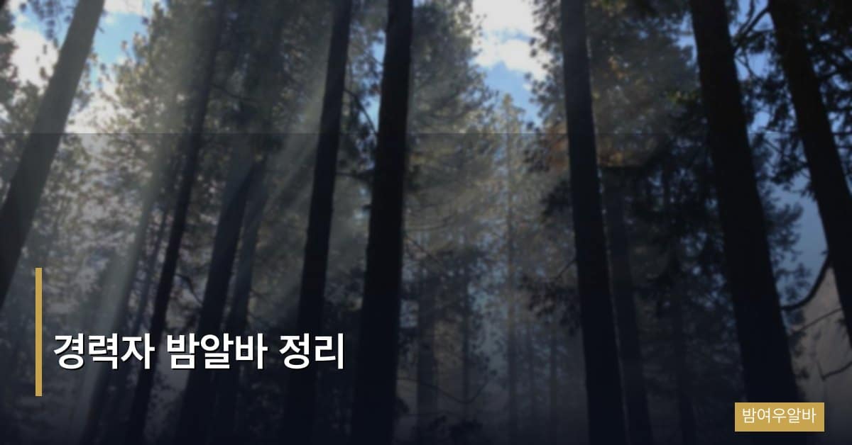 경력자 밤알바 정리, 3년 이상 베테랑이 알려주는 고수익 업소 선택법