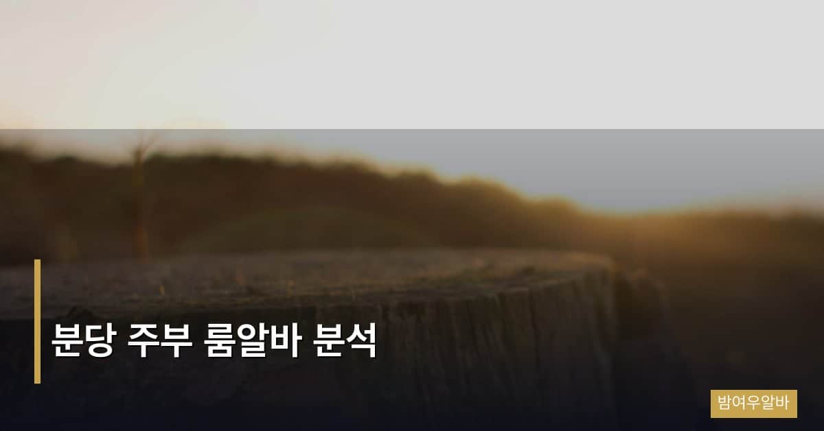 분당 주부 룸알바 분석 — 30대 주부가 선택하는 이유와 현실적인 가이드