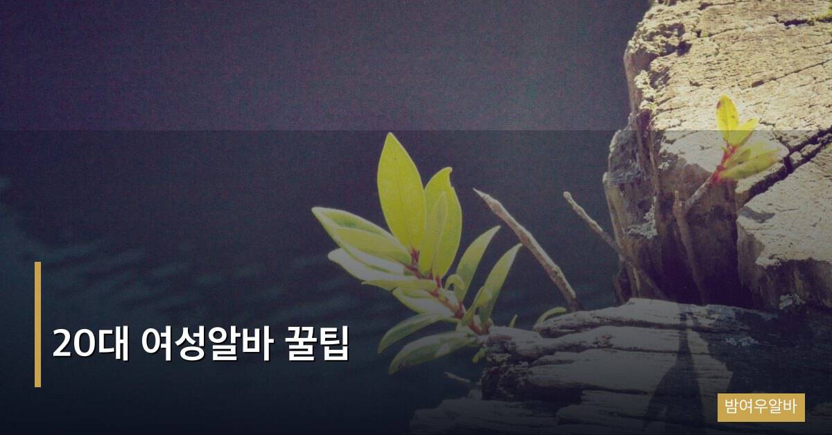 20대 여성알바 꿀팁