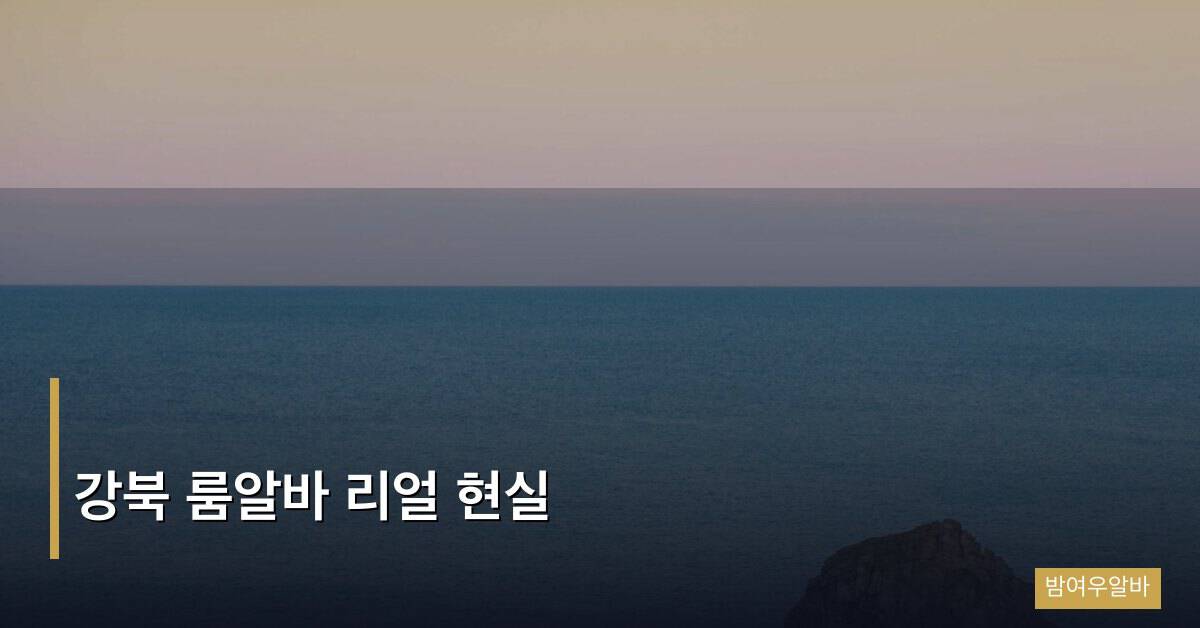 “강북 룸알바 리얼 현실: 서울 강북권 업소 현황과 솔직 이야기”
