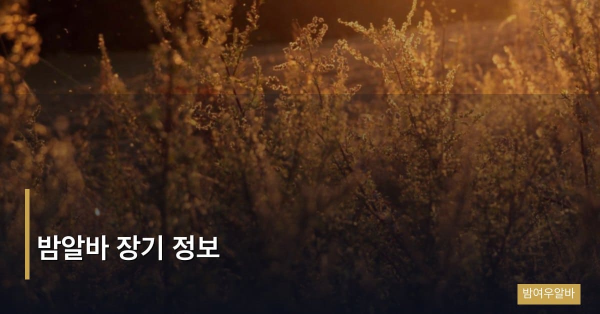 밤알바 장기 근무 정보 총정리