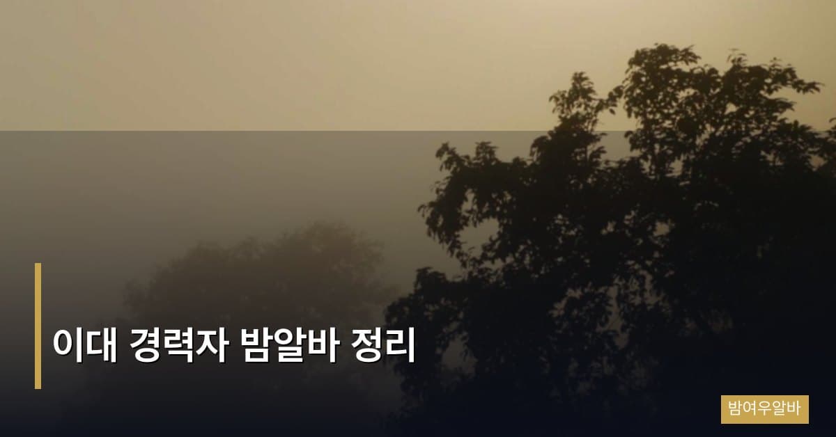 이대 경력자 밤알바 완전 정리