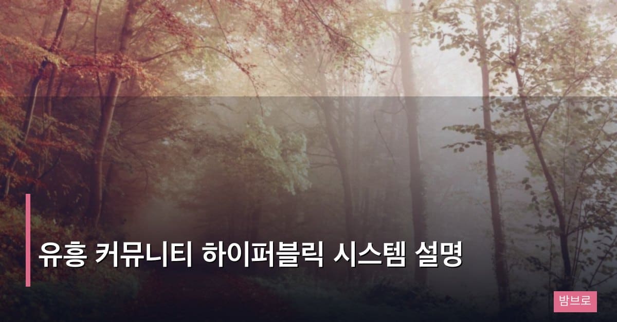 유흥 커뮤니티 하이퍼블릭 시스템, 초보자를 위한 완전 설명