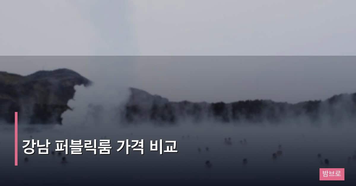 강남 퍼블릭룸 가격 비교 완전 정리