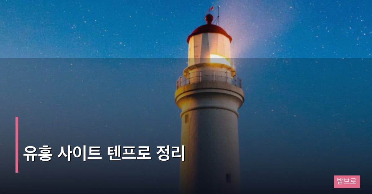 유흥 사이트 텐프로 정리 – 강남 고급 업소의 모든 것