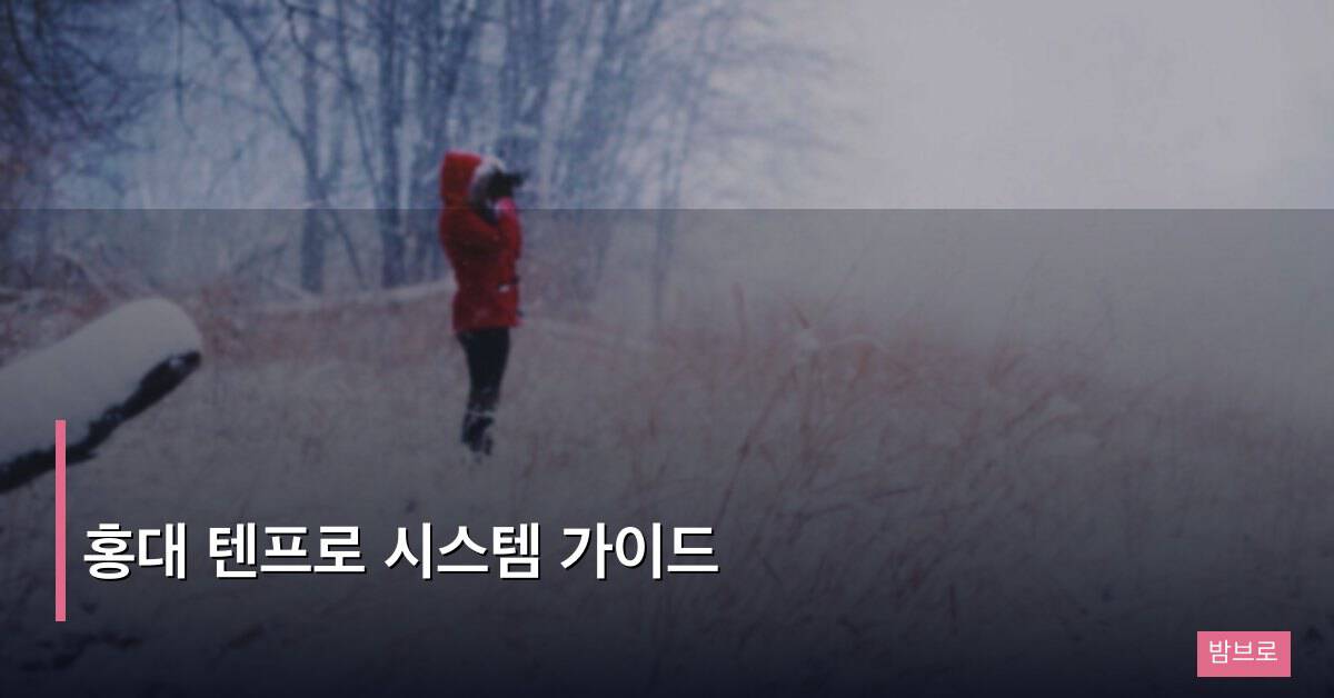 홍대 텐프로 시스템 가이드 – 입문자를 위한 완벽 설명