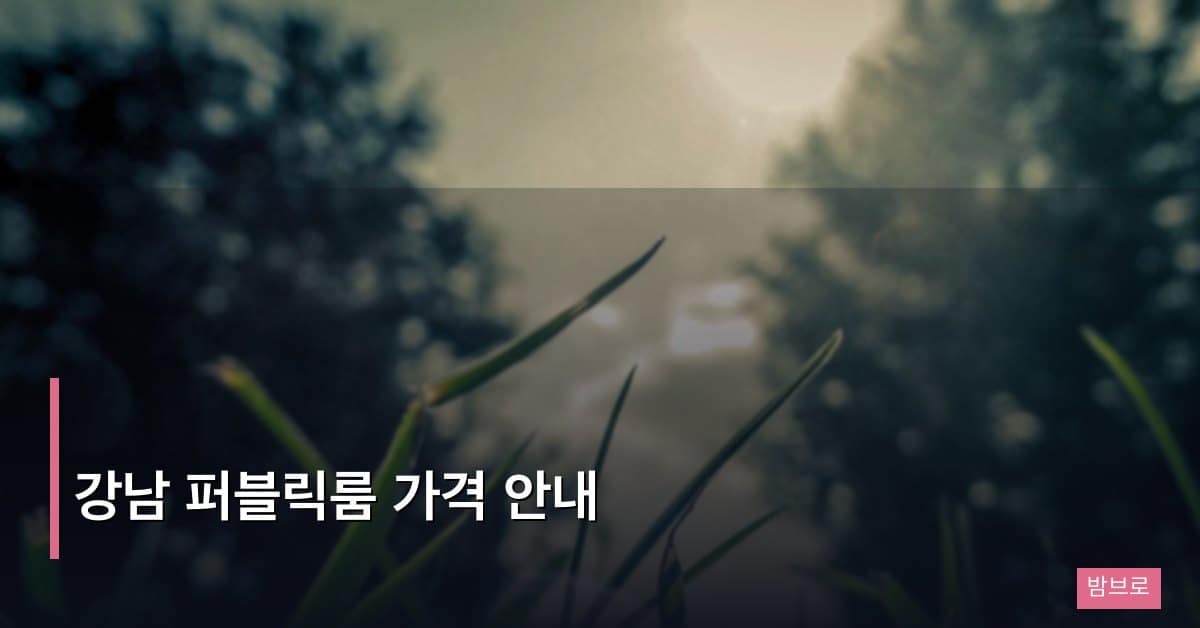 강남 퍼블릭룸 가격 안내 – 지역별 비용과 선택 기준