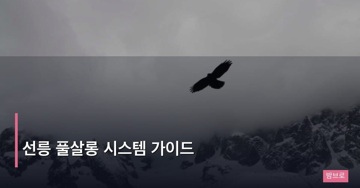 선릉 풀살롱 시스템 가이드 – 처음 방문자를 위한 완벽 정리
