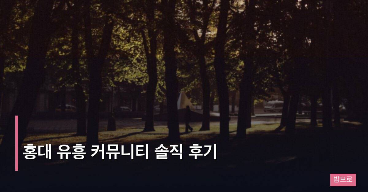 홍대 유흥 커뮤니티 솔직 후기, 이용자들이 평가한 업소별 장단점