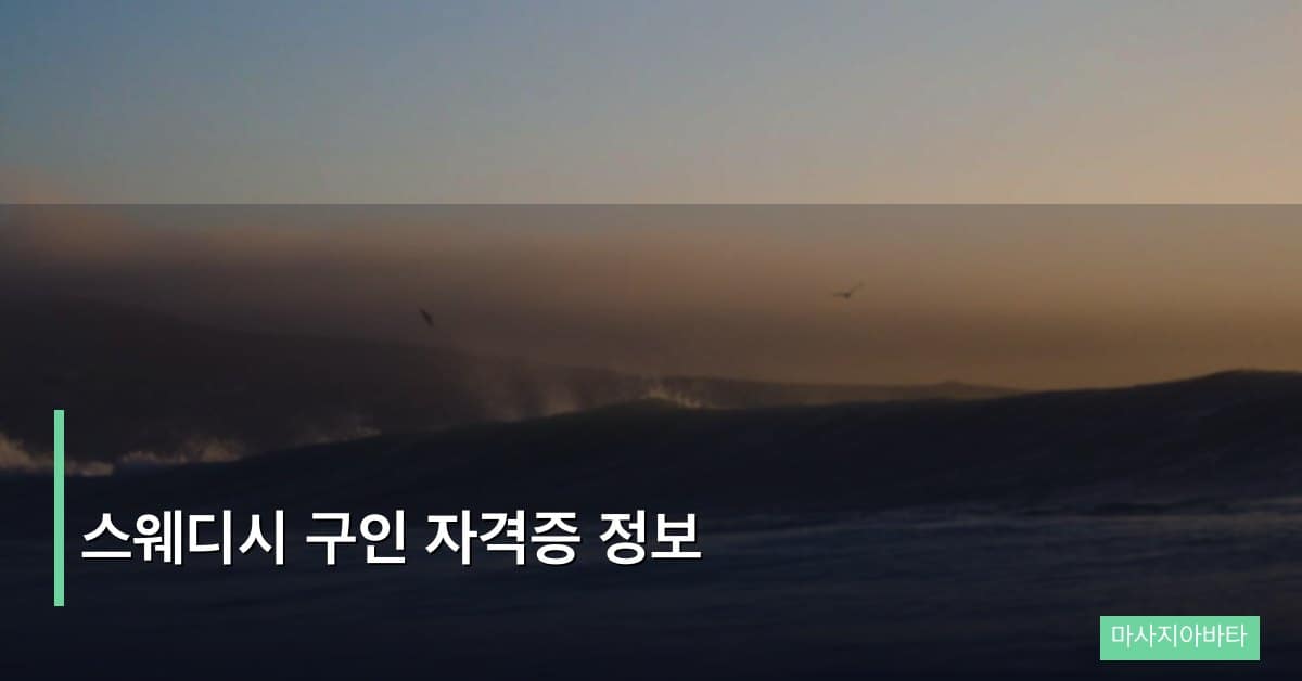 스웨디시 구인 자격증 정보, 합격률을 높이는 실전 로드맵