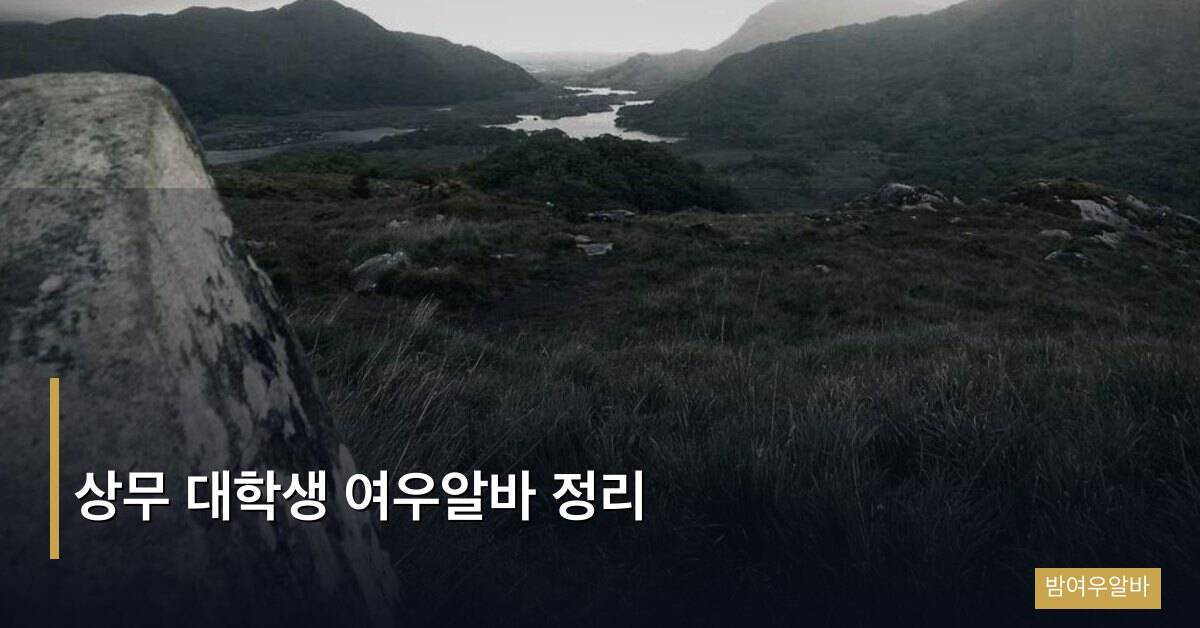 상무 대학생 여우알바 정리