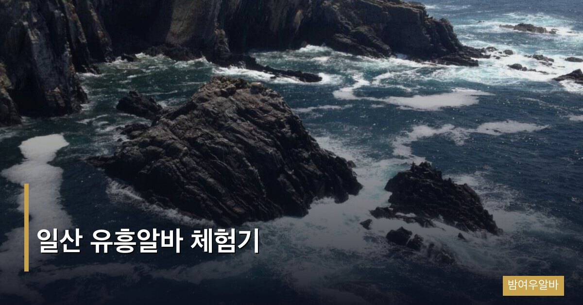 일산 유흥알바 체험기