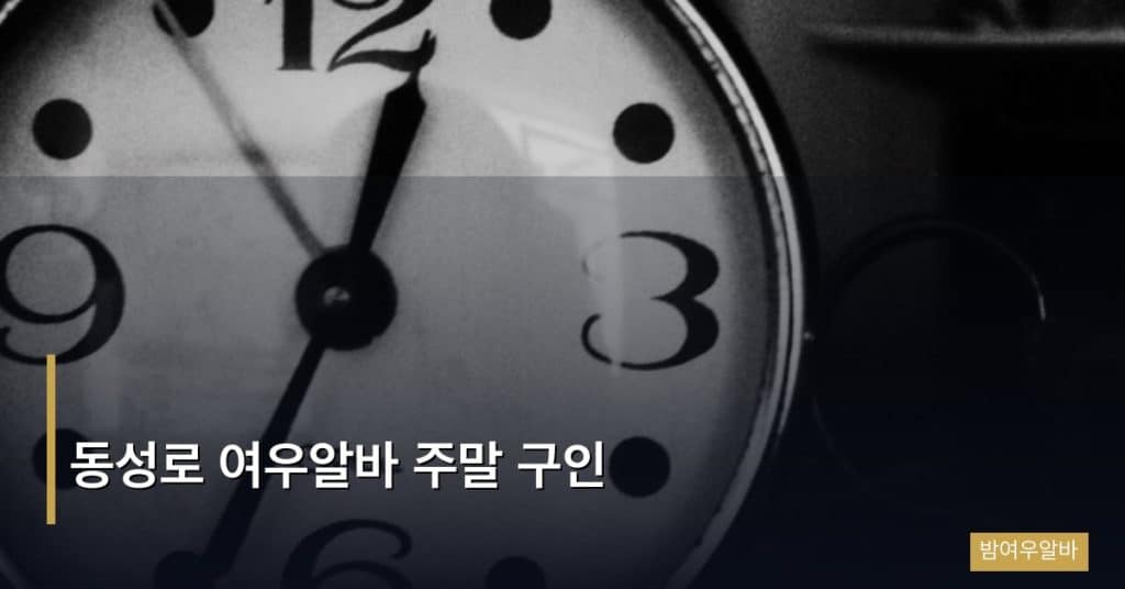 동성로 여우알바 주말 구인