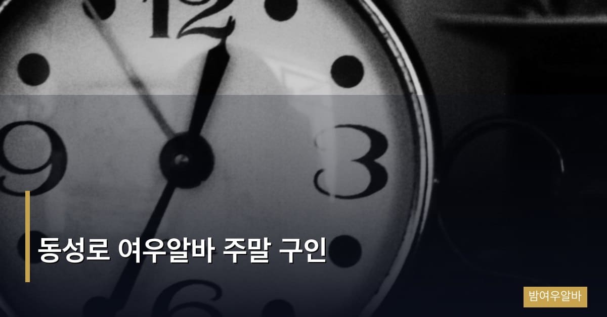 동성로 여우알바 주말 구인