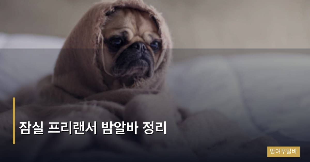 잠실 프리랜서 밤알바 정리