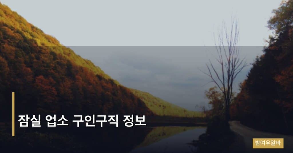 잠실 업소 구인구직 정보
