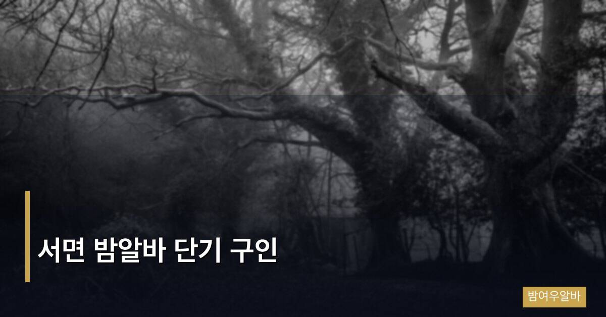 서면 밤알바 단기 구인