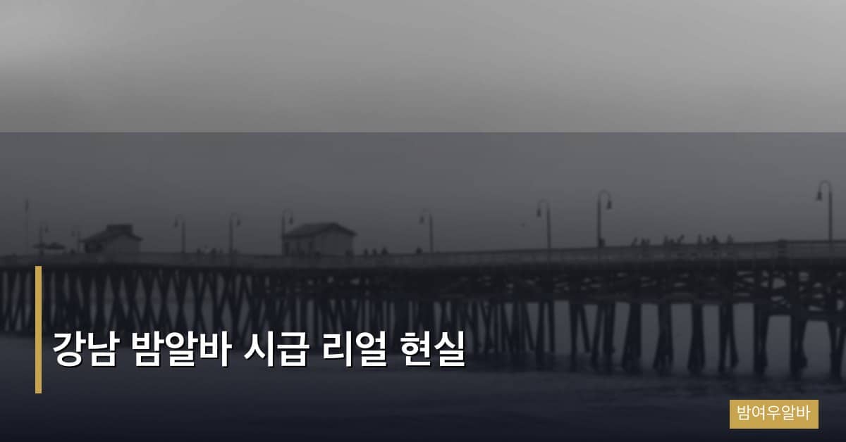 강남 밤알바 시급 리얼 현실