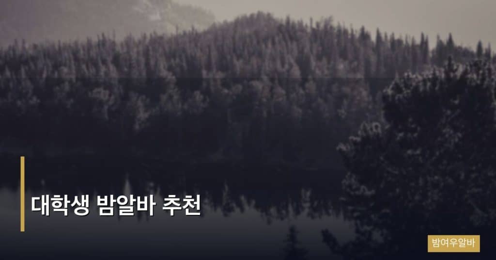 대학생 밤알바 추천