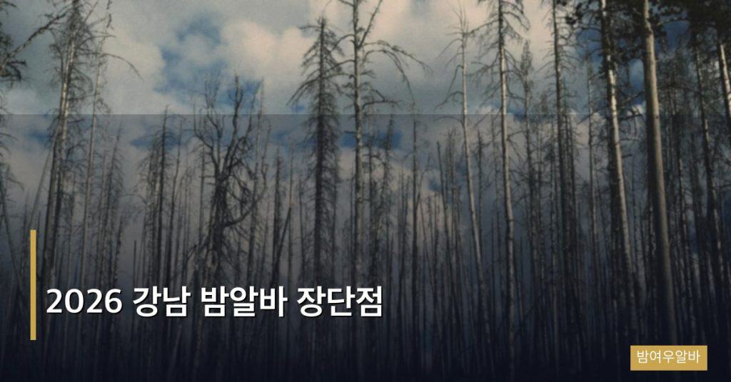 2026 강남 밤알바 장단점