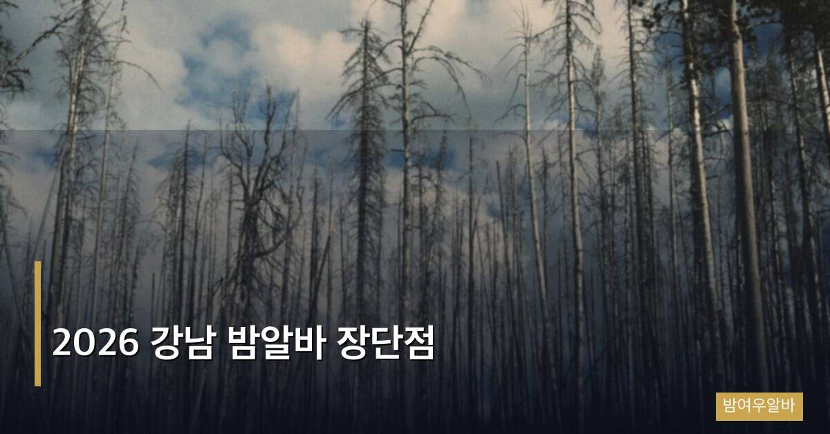 2026 강남 밤알바 장단점