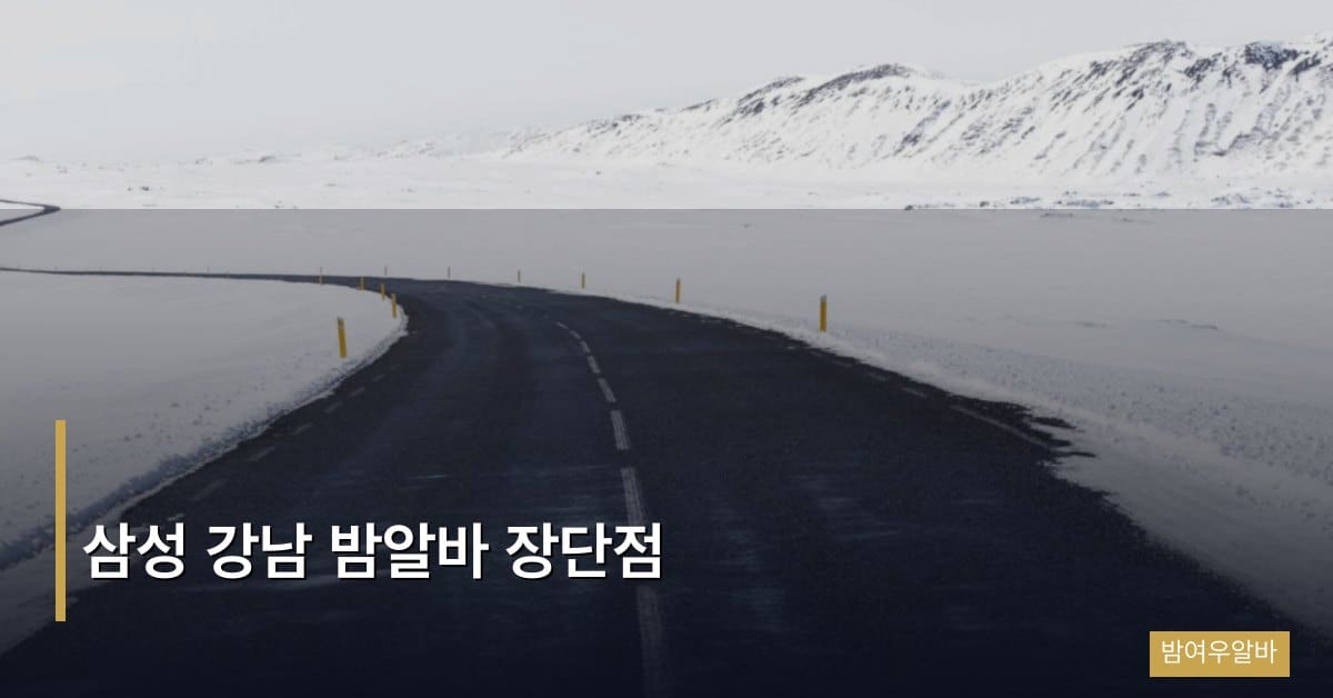 삼성 강남 밤알바 장단점