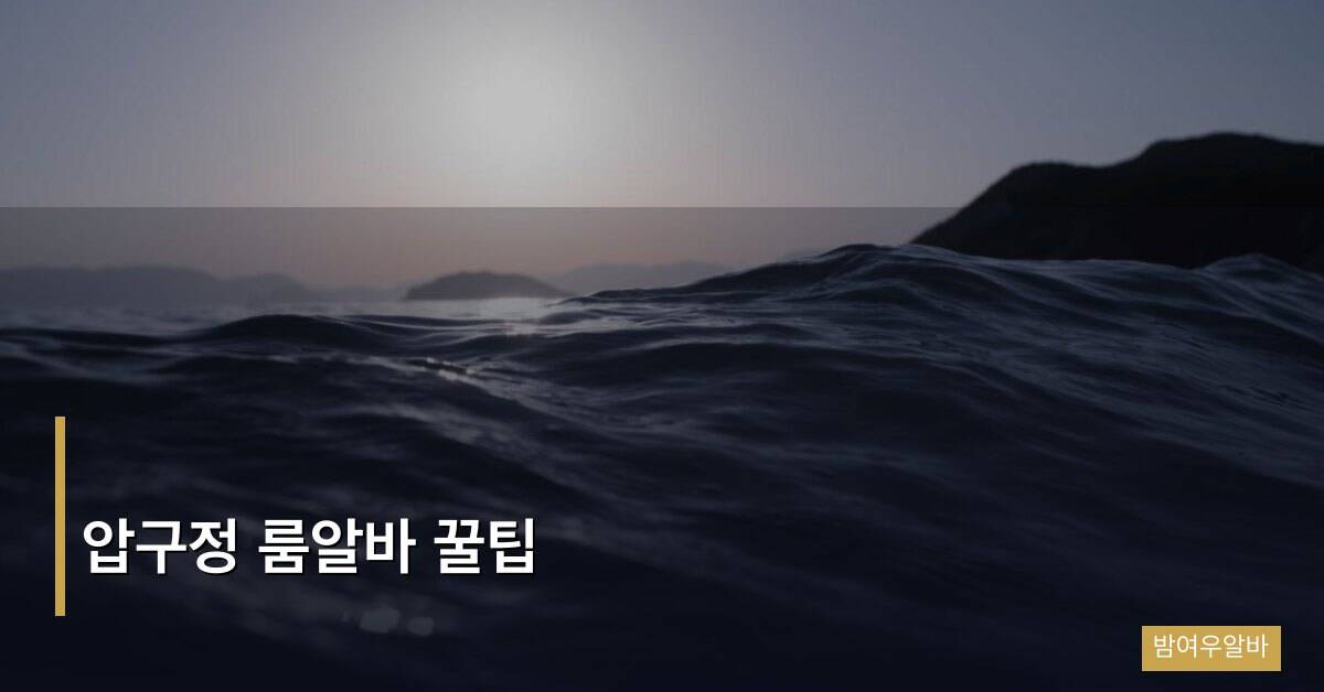 압구정 룸알바 꿀팁