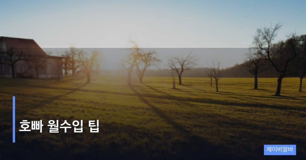 호빠 월수입 팁