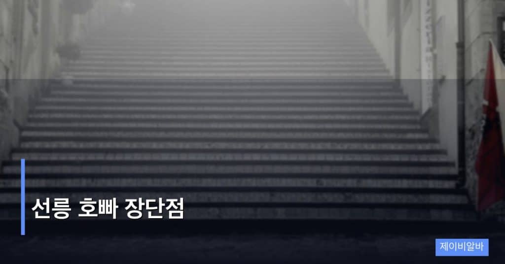 선릉 호빠 장단점