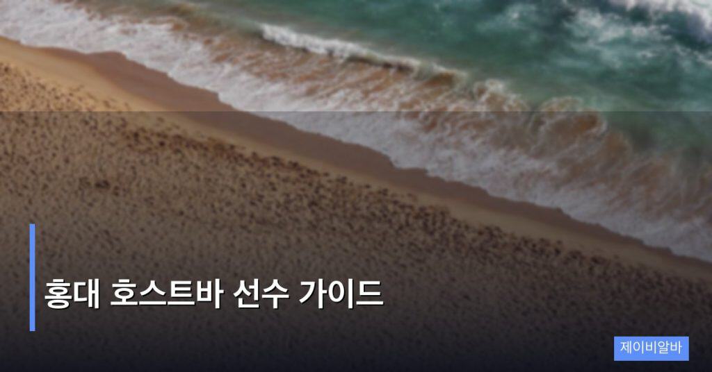 홍대 호스트바 선수 가이드