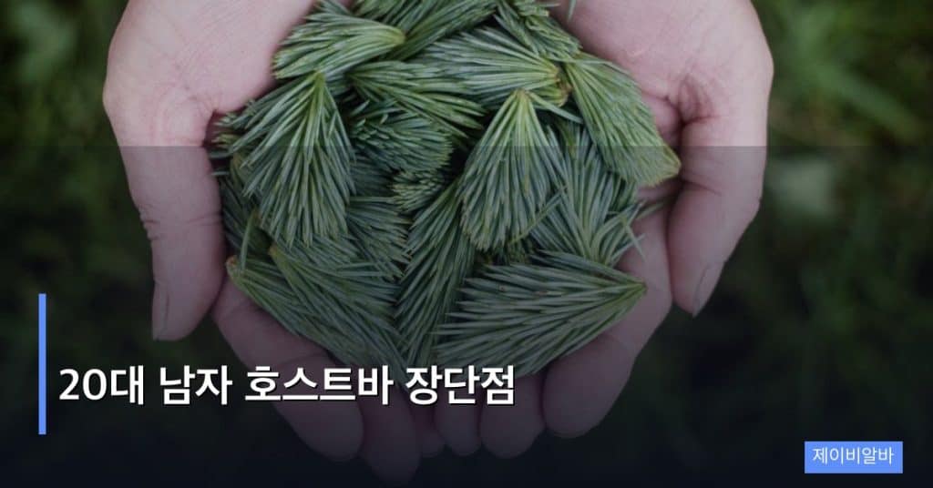 20대 남자 호스트바 장단점