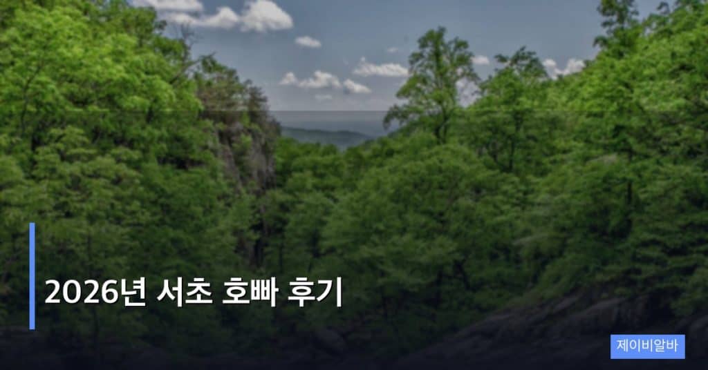 2026년 서초 호빠 후기