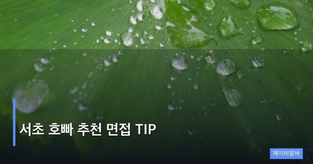서초 호빠 추천 면접 TIP
