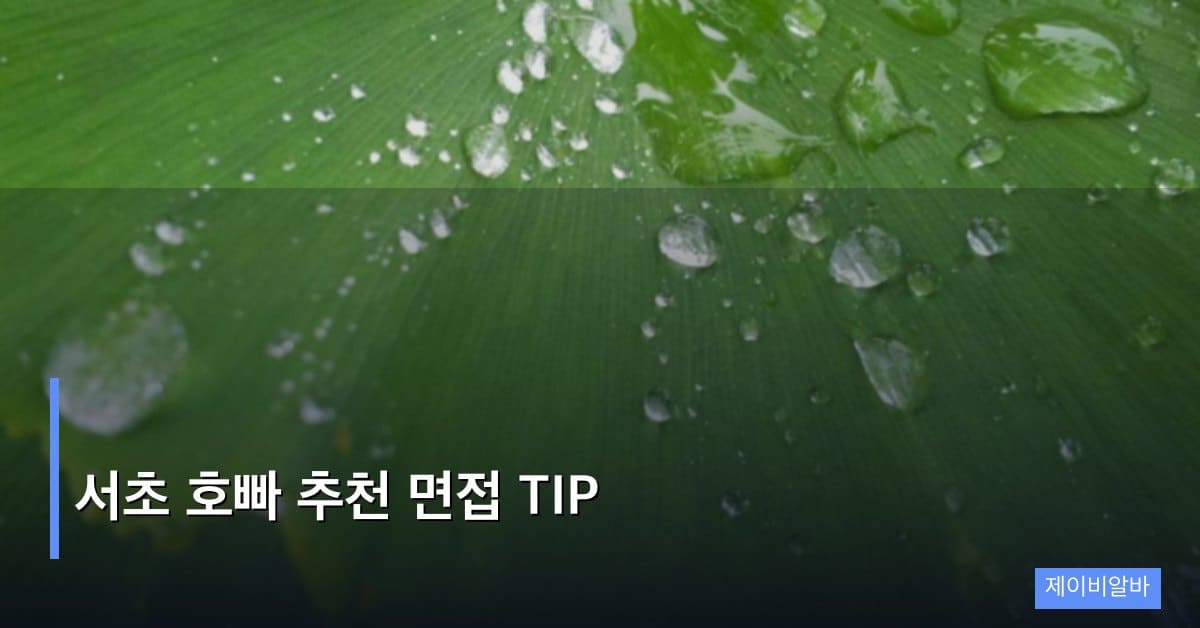 서초 호빠 추천 면접 TIP