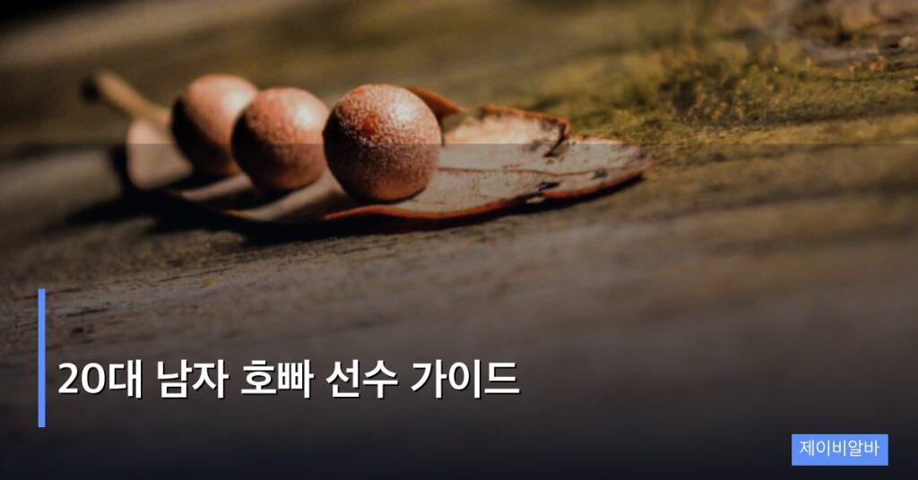 20대 남자 호빠 선수 가이드