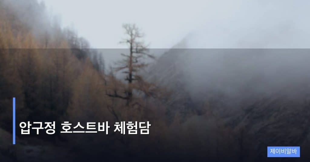 압구정 호스트바 체험담