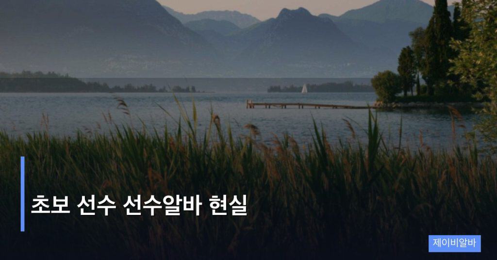 초보 선수 선수알바 현실