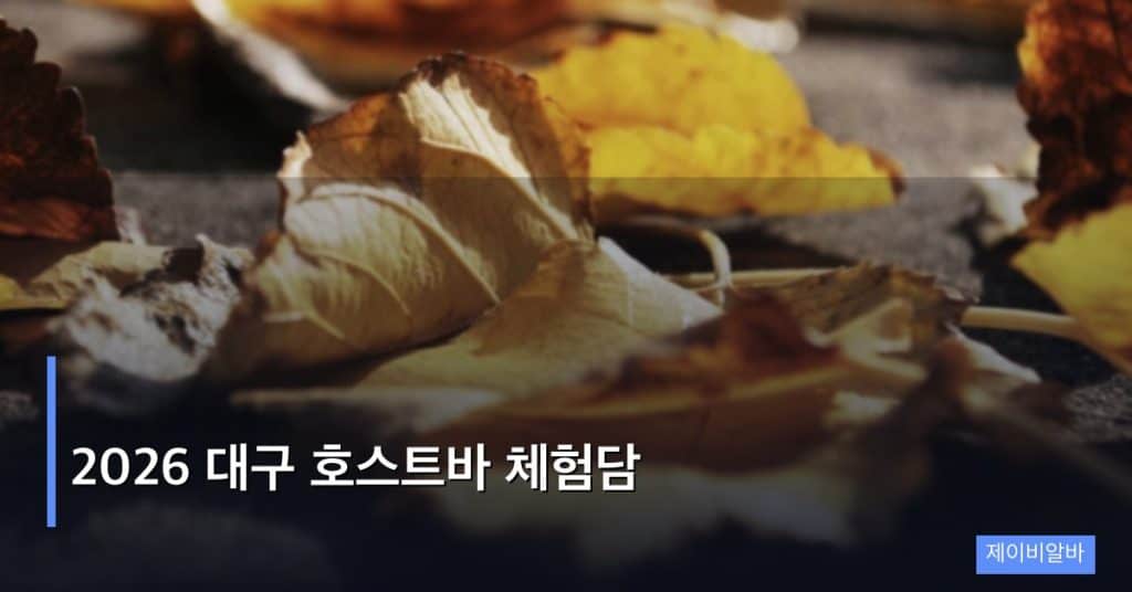 2026 대구 호스트바 체험담