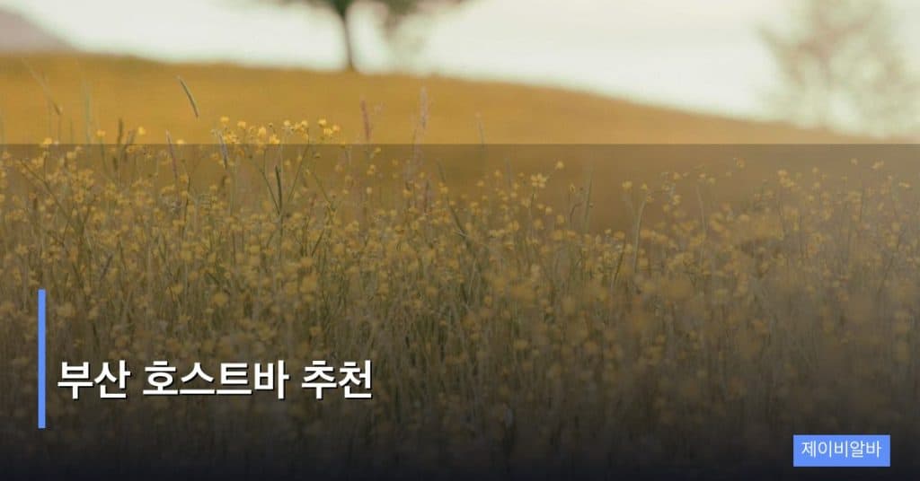 부산 호스트바 추천