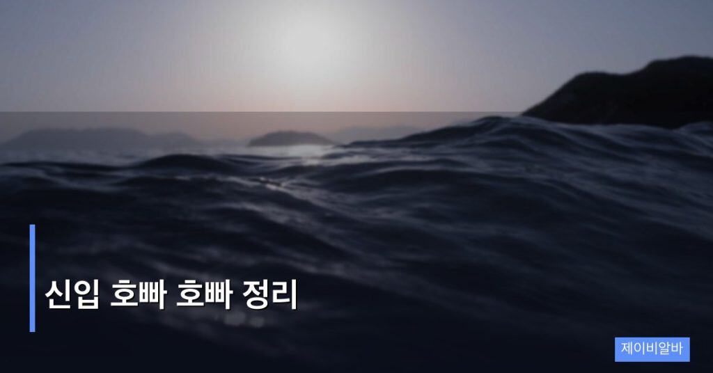 신입 호빠 호빠 정리