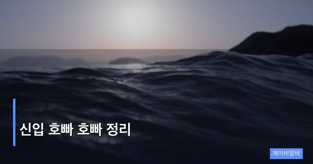 신입 호빠 호빠 정리