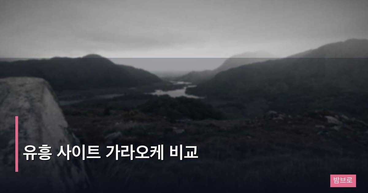 유흥 사이트 가라오케 비교