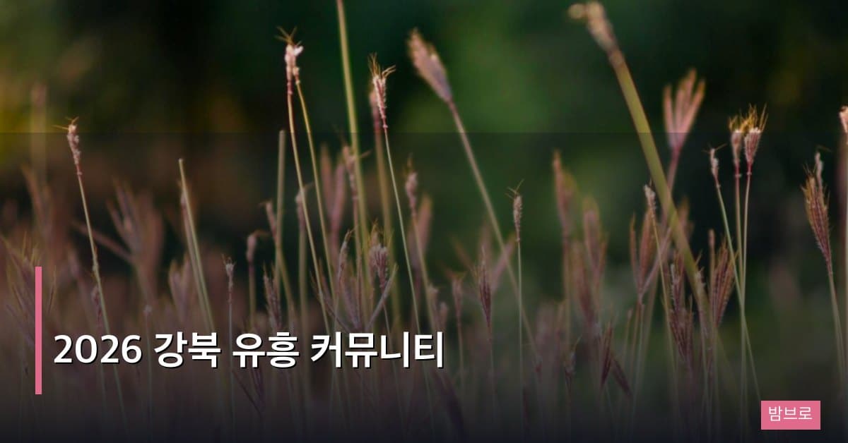 2026 강북 유흥 커뮤니티