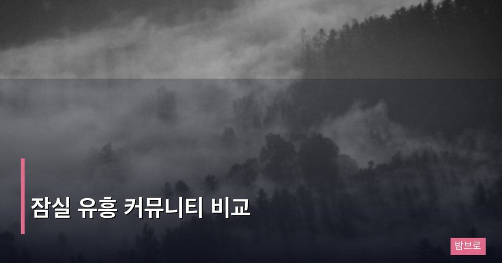 잠실 유흥 커뮤니티 비교