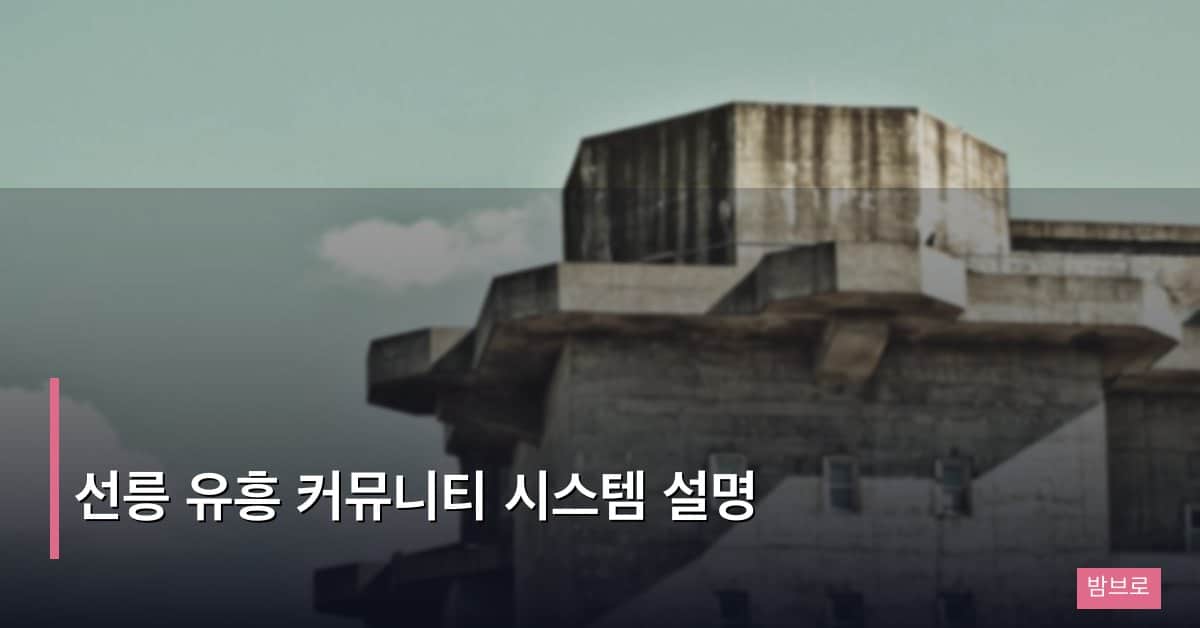 선릉 유흥 커뮤니티 시스템 설명