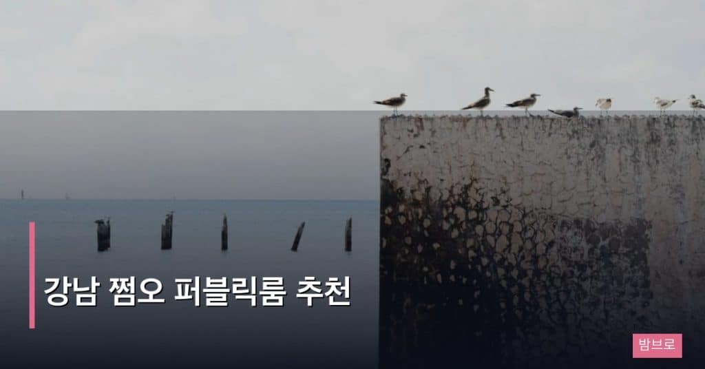 강남 쩜오 퍼블릭룸 추천