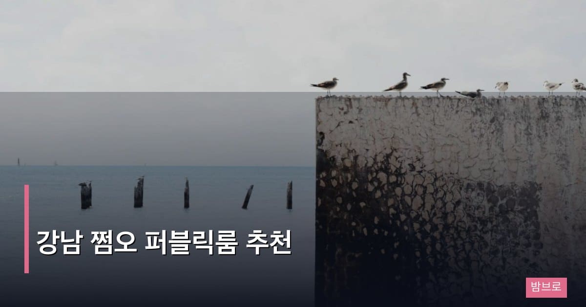 강남 쩜오 퍼블릭룸 추천