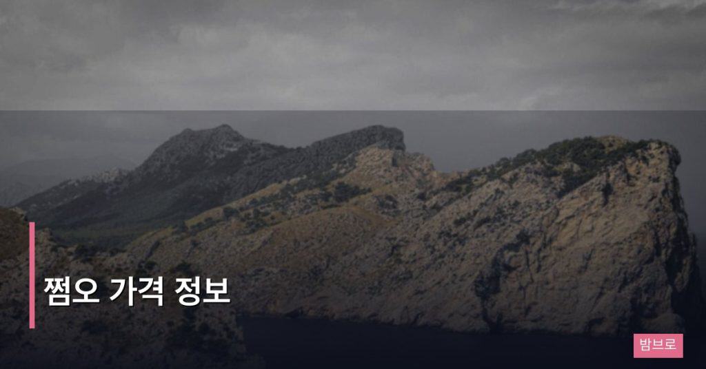 쩜오 가격 정보