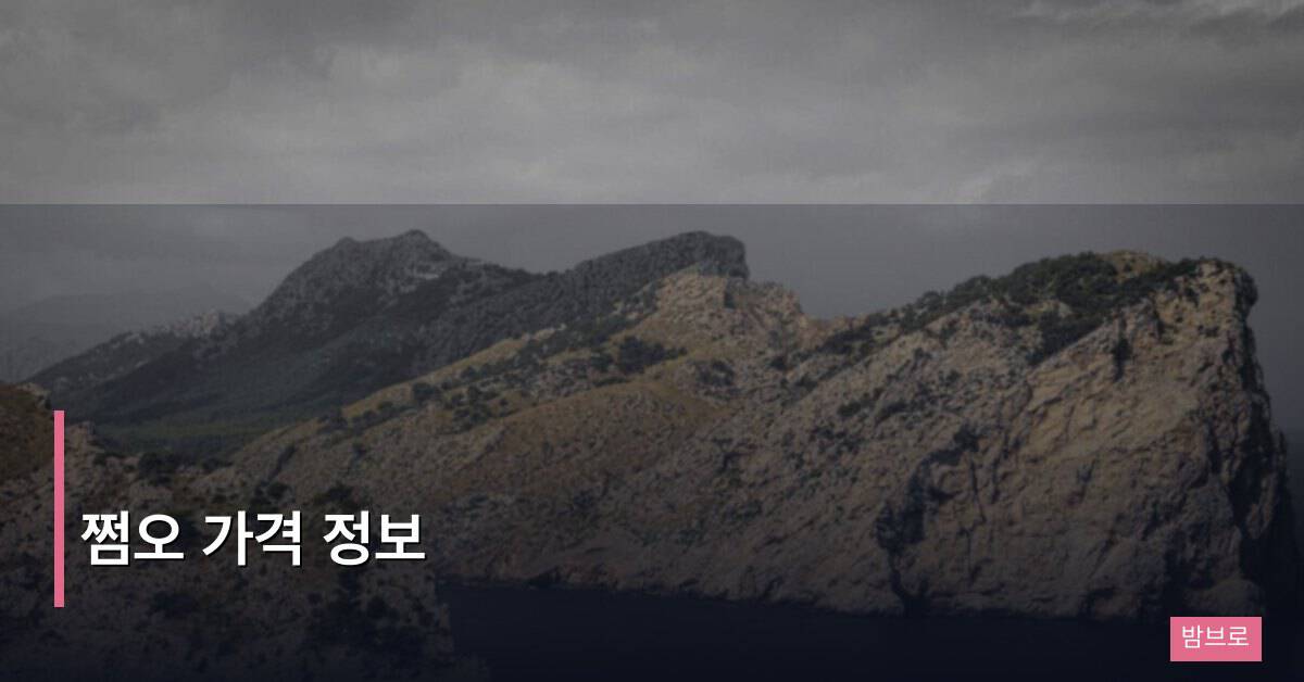 쩜오 가격 정보