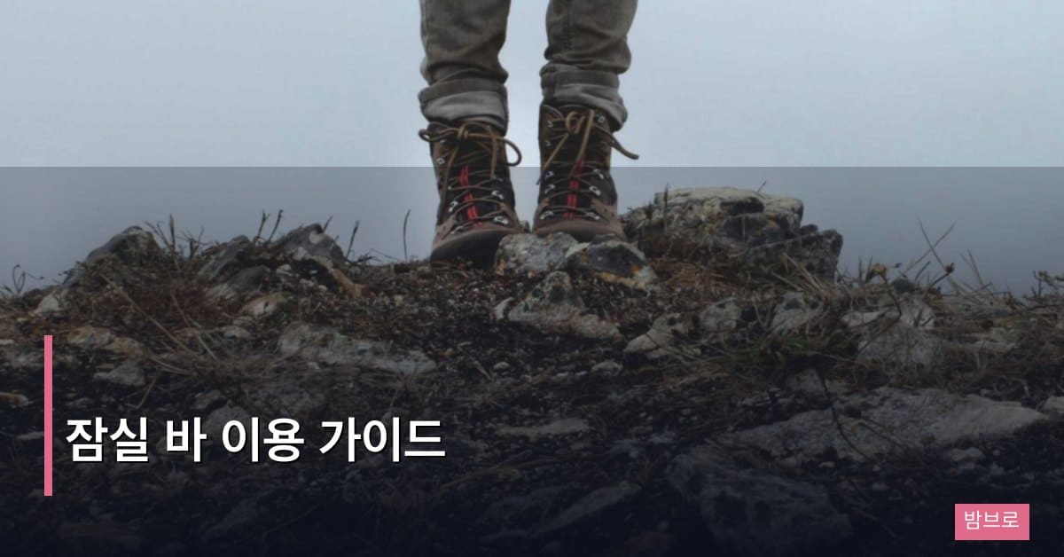 잠실 바 이용 가이드